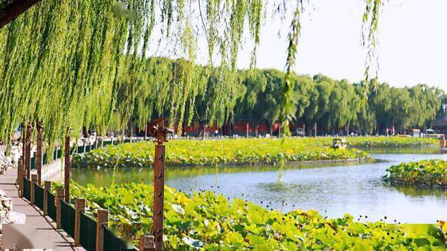金华江山旅游攻略，一不小心就爱上这座慢城