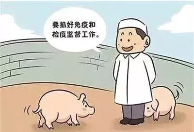 健康情况怎么填?这事儿真没那么玄乎 健康情况怎么填?这事儿真没那么玄乎