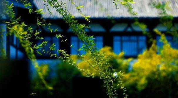 江苏夏季旅游攻略,在梅雨与蝉鸣里,找到你的那份清凉 江苏夏季旅游攻略,在梅雨与蝉鸣里,找到你的那份清凉