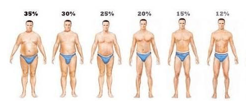 体脂率多少健康？别让数字绑架了你
