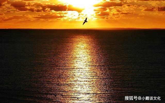云健康平台，当你的身体数据遇上Go语言，会擦出什么火花？