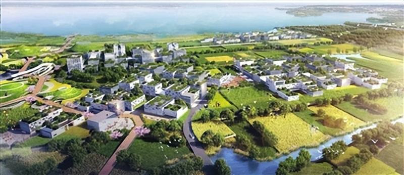 国防科技大学学生为什么没有IP？这事儿我得好好说说