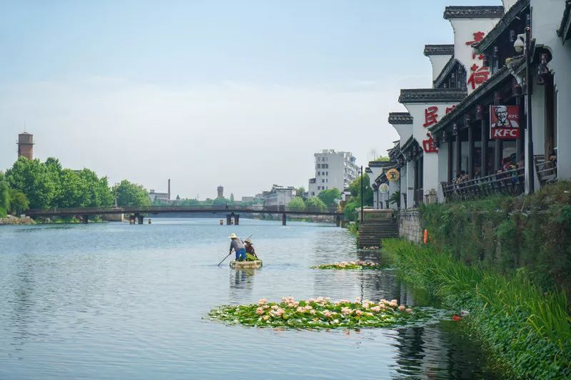 邯郸大名县旅游攻略，这座被遗忘的古城，藏着最地道的北方味道