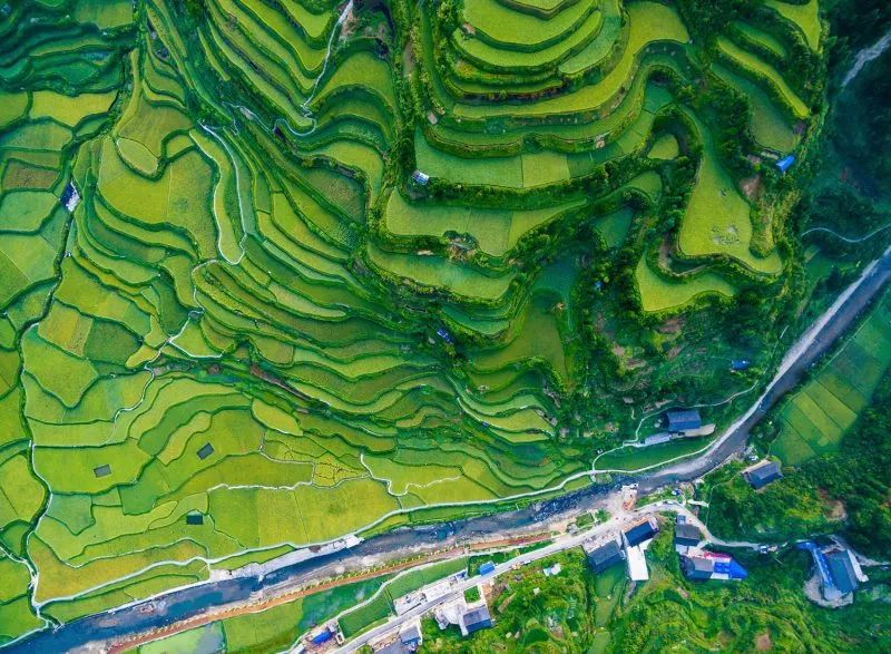 贵州西线旅游攻略，用Golang的思维来规划你的黔行之旅