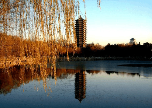 从北大未名湖到奥运赛场，一名北京大学体育生的真实生活