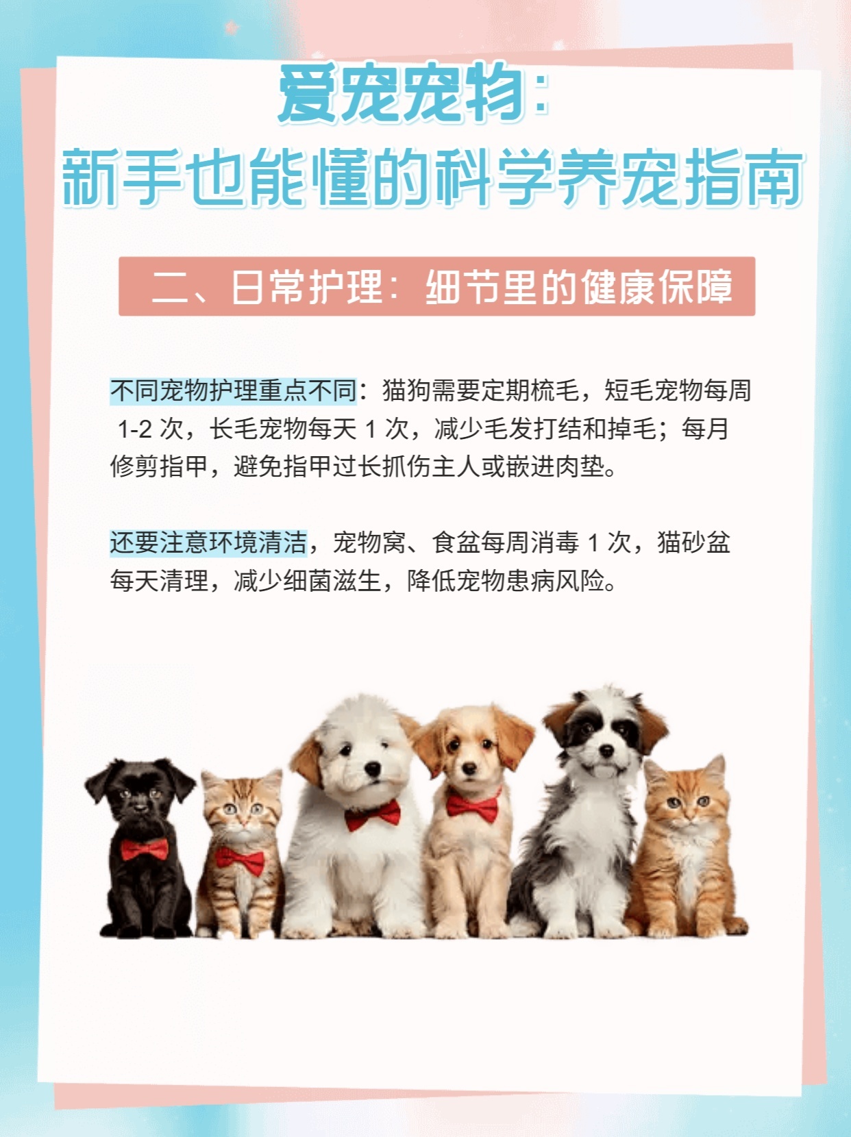 宠物健康知识，从新手到老手都该懂的几件事