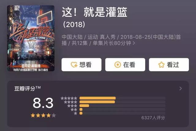 体育运动精神，Golang语言视角下的热血与代码
